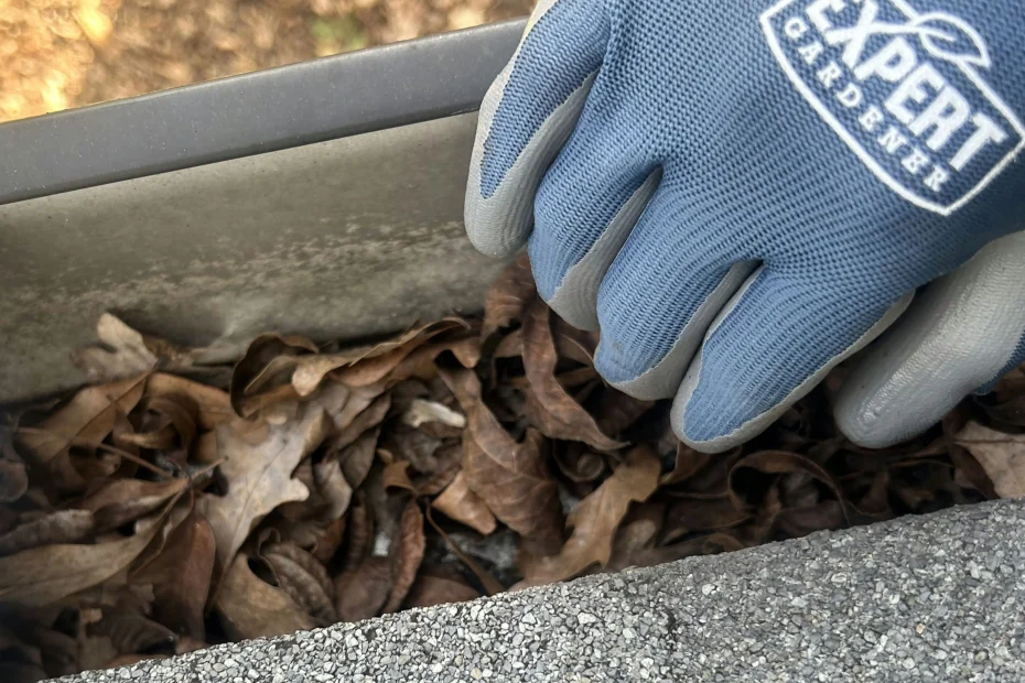 Gutter Cleaning Washington