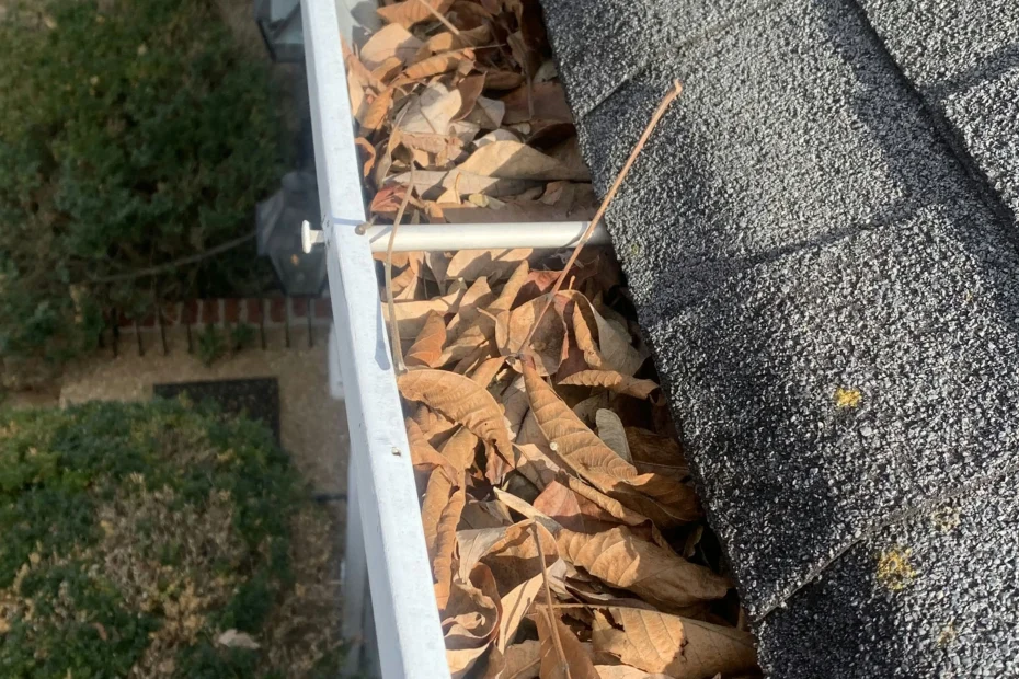 Gutter Cleaning Washington