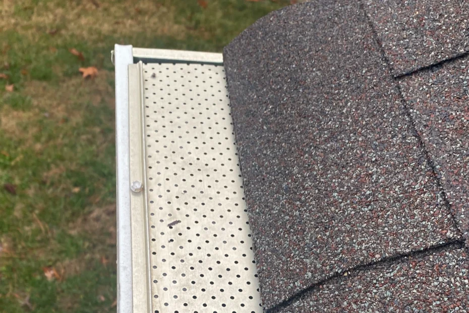 Gutter Cleaning Washington