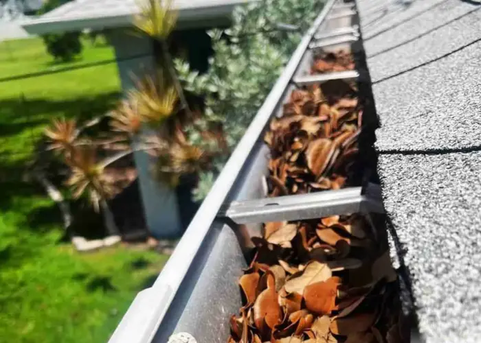 Washington gutter cleaning home page